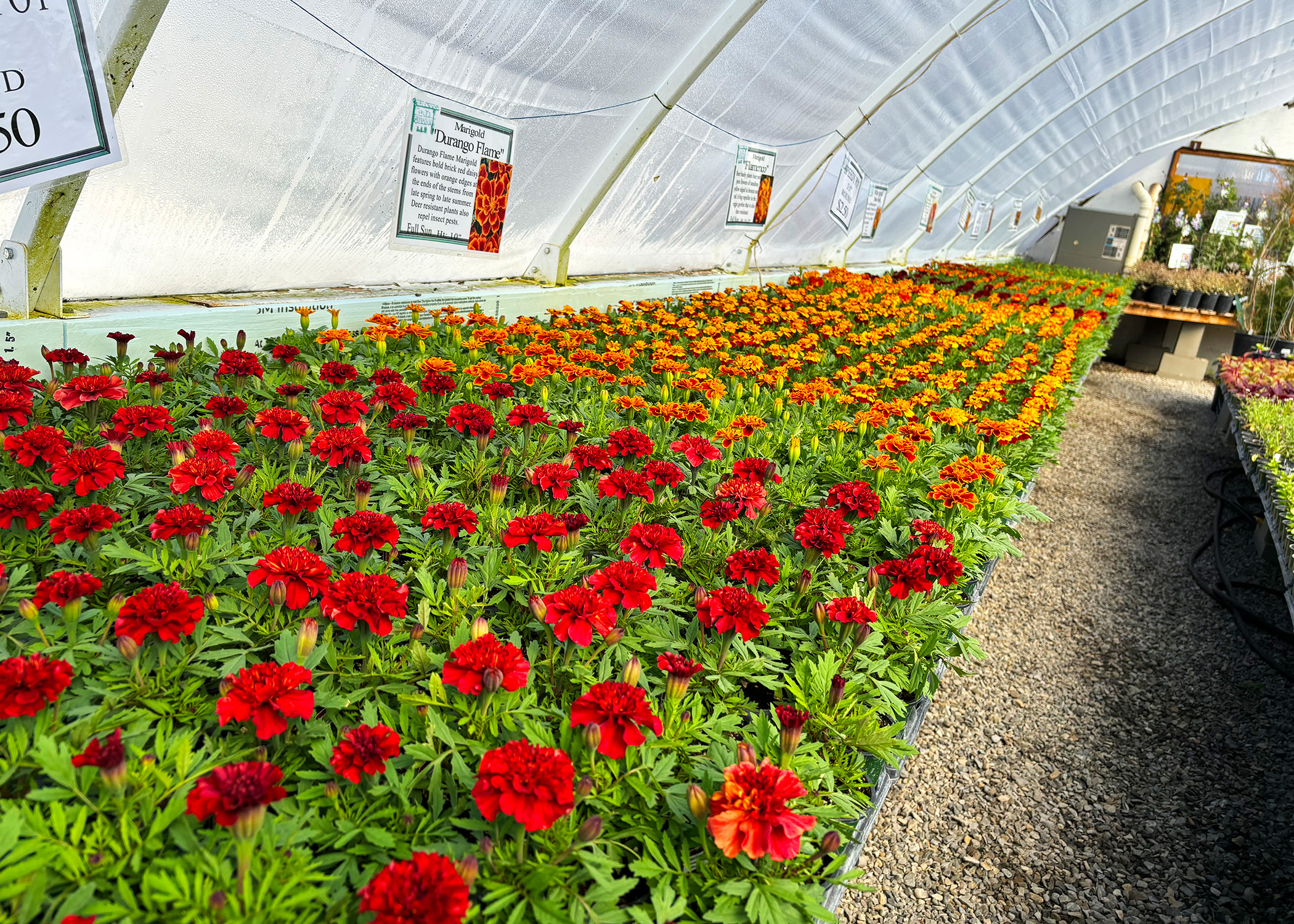 A view of Vale's Greenhouse